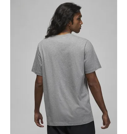 Футболка мужская Air Jordan Air Stretch T-Shirt Grey Dv1445-091