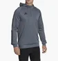 Кофта мужская Adidas Hooded Sweatshirt Tiro23 C Hood Grey HU1347