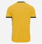 Футболка унисекс Nike Dri-Fit Academy 25 Yellow FZ9754-719