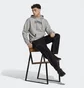 Худи мужское Adidas All Szn Fleece Graphic Hoodie Grey Ic9772
