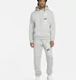 Штаны мужские Nike Pant Jogger Multi Logo Grey DX0795-063