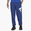 Штаны мужские Adidas Sportswear Future Icons Logo Graphic Pants Blue H39799