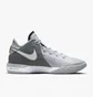 Кросівки унісекс Nike Lebron Nxxt Gen Basketball Shoes Grey DR8784-004