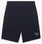 Шорты мужские Puma Mens Elevated Blue 684730-16