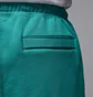 Шорты мужские Air Jordan Flight Flc Dmnd Turquoise FV7257-392
