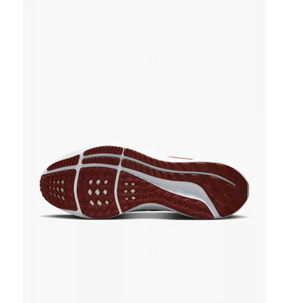 Кроссовки мужские Nike Pegasus 39 Running Shoes White Dh4071-007