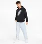 Худи мужское Puma Power Logo Black 847378-01