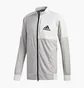 Толстовка мужская Adidas M Ti Bomber Grey DU2572