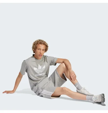 Шорты мужские Adidas Adicolor 3-Stripes Shorts Grey IU2340