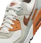 Кроссовки мужские Nike Air Max 90 Grey FN6958-100