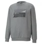 Свитшот мужской Puma Power Logo Crew Fl Medium Grey 849791-03
