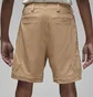 Шорты мужские Air Jordan Dri-Fit Sport Beige DZ0557-200