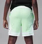 Шорты детские Air Jordan Sport Dri-Fit Diamond Green 95D313-E2E