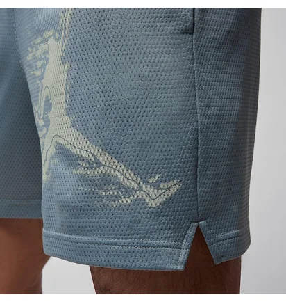 Шорти чоловічі Air Jordan Df Sprt Gfx Light Blue HQ8665-041
