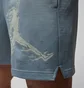 Шорти чоловічі Air Jordan Df Sprt Gfx Light Blue HQ8665-041