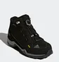 Ботинки детские Adidas Terrex Mid Gore-Tex Black BB1952