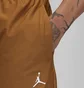 Штаны мужские Air Jordan Essentials Brown FB7325-281