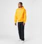 Худі чоловіче Nike Nrg Premium Essentials Hoodie Orange DX1355-836