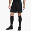 Шорты мужские Nike Dri-Fit Academy Black Dv9742-013