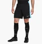 Шорты мужские Nike Dri-Fit Academy Black Dv9742-013