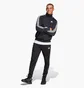 Спортивний костюм чоловічий Adidas Sportswear Basic 3-Stripes Tricot Track Suit Set Black Ic6747