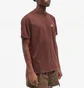 Футболка чоловіча Nike Acg Goat Rocks T-Shirt Brown DX7882-227