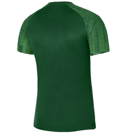 Футболка мужская Nike Jersey Dri-Fit Academy Green DH8031-302