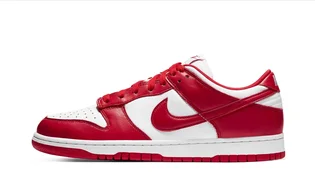 Кросівки чоловічі Nike Dunk Low Retro Sp White/Red CU1727-100