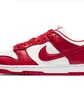 Кроссовки мужские Nike Dunk Low Retro Sp White/Red CU1727-100