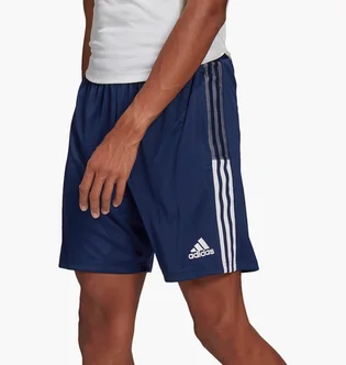 Шорты мужские Adidas Tiro21 Tr Sho Blue Gh4471