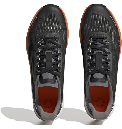 Кросівки чоловічі Adidas Terrex Agravic Flow 2 Gtx Black HR1110