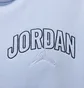 Толстовка мужская Air Jordan Essentials Light Blue IB7908-407