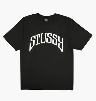 Футболка чоловіча stussy Arched Pig Black 1905085-0001