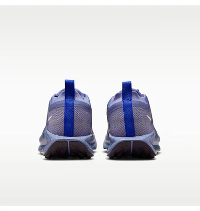 Кроссовки женские Nike W Pegasus Trail 5 Gtx Blue FQ0912-402