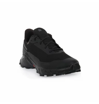 Кроссовки мужские Salomon Alphacross 5 Gtx Black 473075