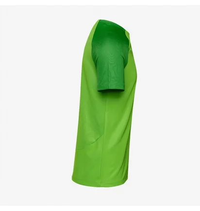 Футболка мужская Nike Dri-Fit Academy Pro Ss Top Green DH9225-329