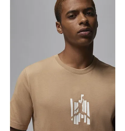 Футболка мужская Air Jordan T-Shirt Brand Beige FD7025-200