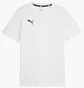 Футболка дитяча Puma Teamgoal Casuals White 658616-04