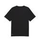 Футболка чоловіча Puma Evostripe Black 692189-01