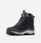 Ботинки женские Columbia Firecamp Ii Wp Black BL5828-010