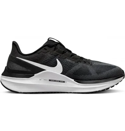Кросівки жіночі Nike Structure 25 Black DJ7884-001