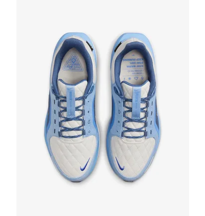 Кросівки жіночі Nike Winflo 11 Gore Tex Blue/Beige FQ1359-002