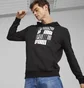 Худи мужское Puma Ess+ Logo Lab Hoodie Tr Black 678978-01