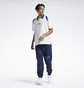 Штаны мужские Reebok Classics Varsity Blue Ic1939