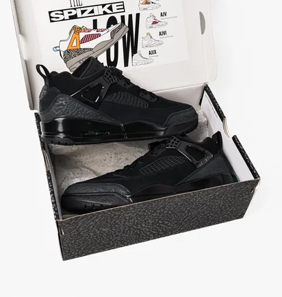 Кросівки чоловічі Air Jordan Spizike Low Black FQ1759-001