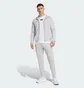 Футболка мужская Adidas Fc Bayern 25/26 Seasonal Graphic White JM9446