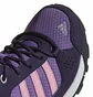 Кросівки чоловічі Adidas Hyperhiker K Violet G27789