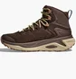 Ботинки мужские Hoka Kaha 3 Gtx Brown 1162530-WYS