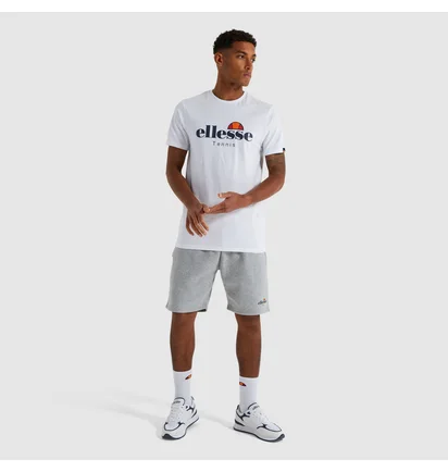 Шорты мужские Ellesse Trio Short Grey SEP16392-112