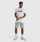 Шорты мужские Ellesse Trio Short Grey SEP16392-112